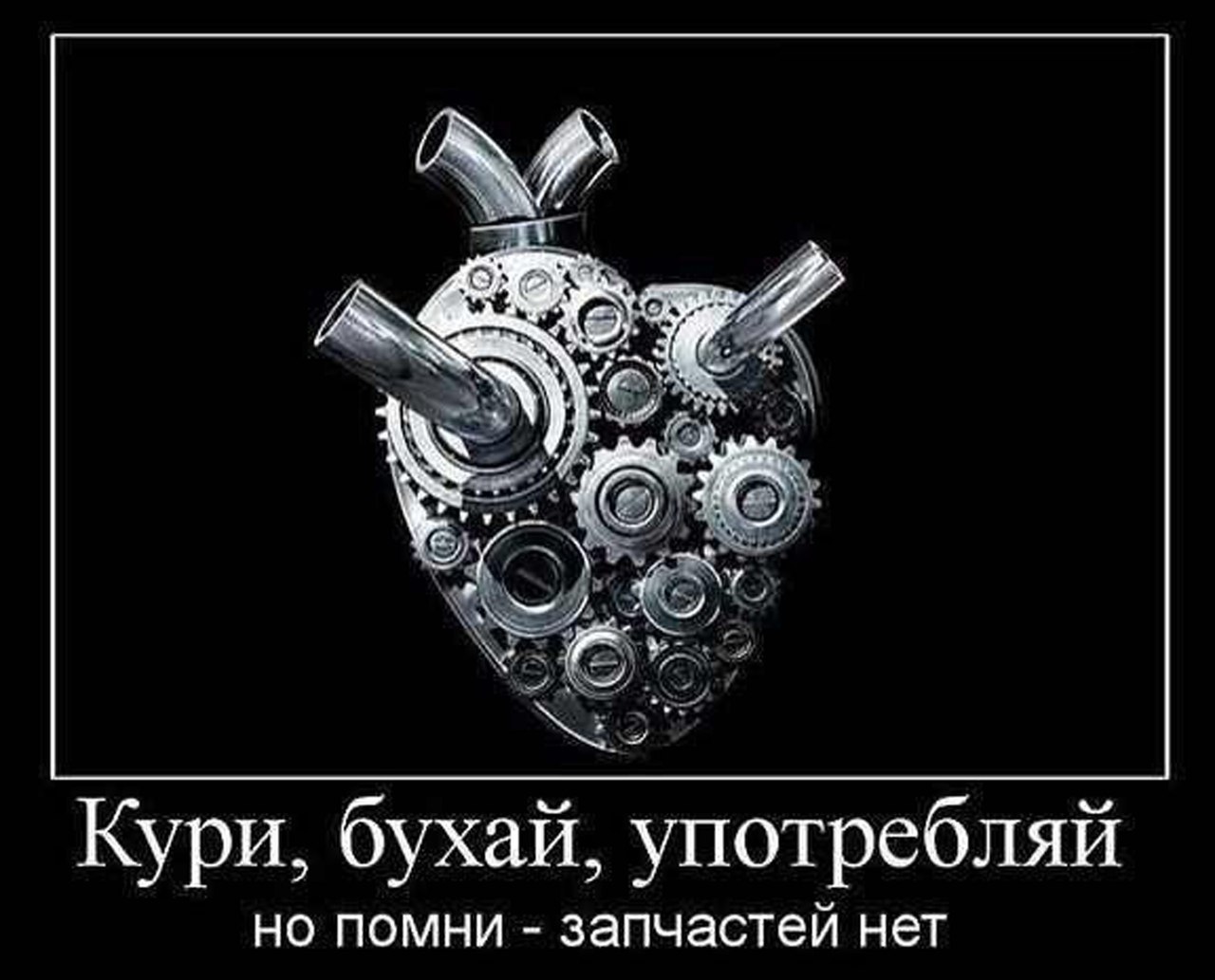 Демотиваторы 101