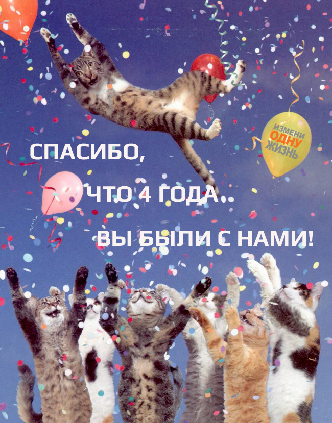 Картинка с днем рождения с котом
