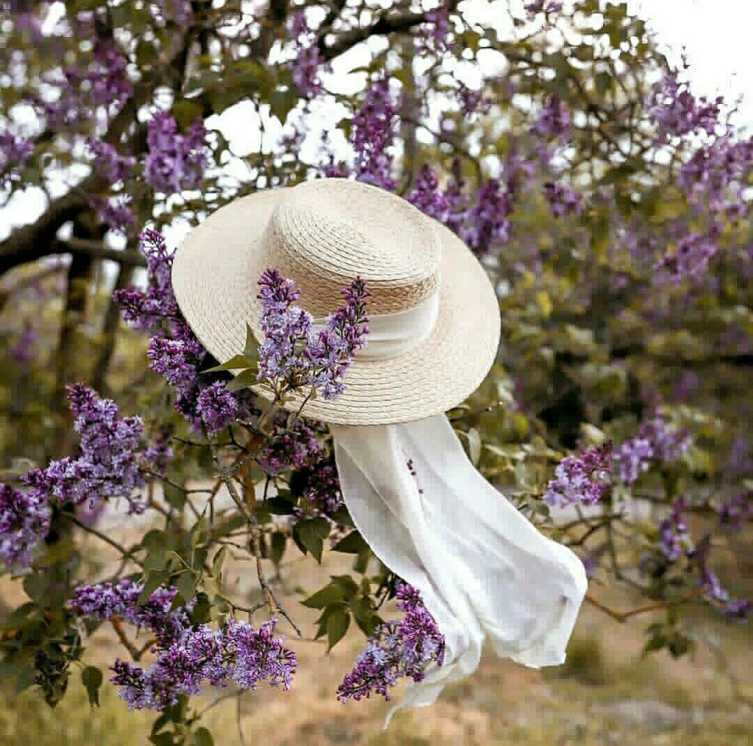 Лето шляпа цветы