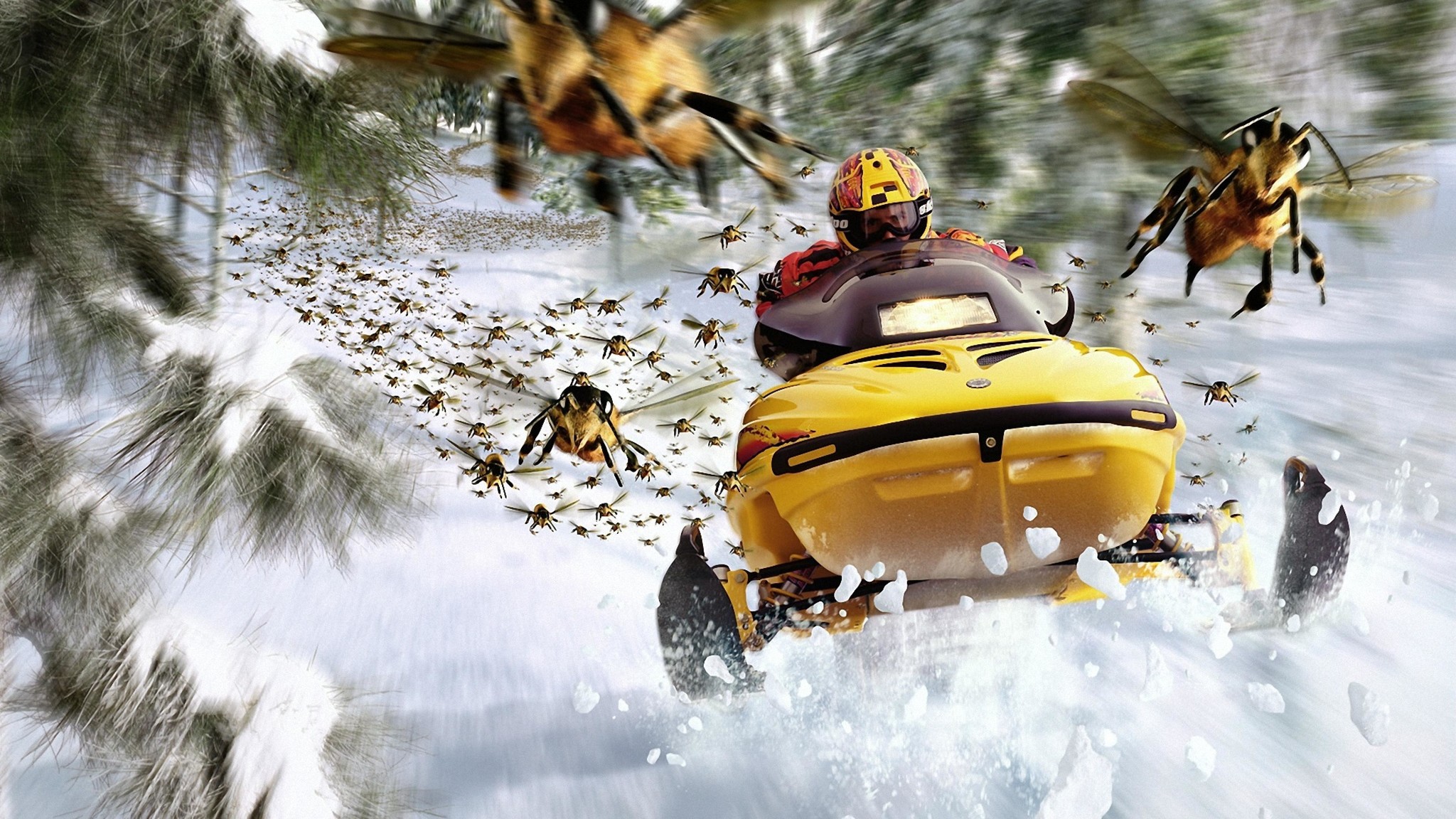 Зима speed. Ski Doo Tundra 600. Снегоходы реклама. Прогулка на снегоходе. Веселый снегоход.