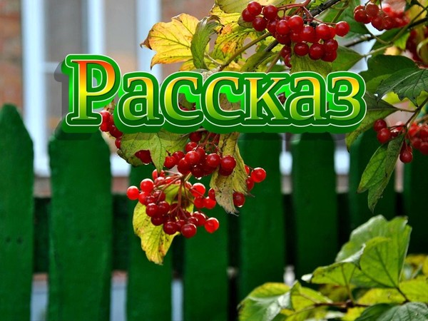 РАССКАЗ.
Рабочий день в разгаре. В цехах швейной фабрики стоит нескончаемый гул от работы швейных машин, который прекращается на пятнадцать минут каждый час – время отдыха. Еще на час — в обеденный перерыв и в конце рабочего дня – до утра. 
В кабинете директора фабрики шума не было слышно, но он ощущал вибрацию стен, которая его радовала – значит производство идет без сбоев. С подстанции поступает электроэнергия, снабжение обеспечивает материалом, раскройщики – кроят, машинки стрекочут, готовая продукция поступает на склад, откуда реализуется потребителям. 
Все отлаживалось годами, пока, наконец, не вышло на сегодняшний уровень. И главные работники здесь – его девчонки, швеи. Без малого сто работниц, и каждую он знает по имени и в лицо. Есть женщины постарше и несколько человек – его ровесницы, с которыми он начинал трудовую деятельность, будучи молодым наладчиком. 
Молоденькие девчонки называли его Аркадий Борисович, те, что постарше и побойчей – Шеф, а ровесницы – Аркаша, как в общей юности. Он любил своих девчонок, они отвечали ему тем же. 
Прием по личным вопросам вел в любое время и старался помочь, если это было в его силах и компетенции. С начальниками цехов и отделов был строг, но в меру. Карьеристы, наушники и прочий случайный люд на фабрике не задерживался. 
Пройдя с ежедневным обходом по цехам, он вернулся в кабинет, сделал несколько распоряжений по телефону и открыл ежедневник: 
— Так-с, что у нас по плану? Ага. Начальник охраны и пропускного режима просился на доклад. Через десять минут. 
Начальник охраны – человек относительно новый на фабрике. К неудовольствию Аркадия Борисовича, его назначили «сверху». Девчонки, которые знали все про всех, относились к нему холодно и уверяли, что тот ежедневно докладывает «наверх» о выявленных нарушениях, а значит, «копает» под директора. 
Директор слухам не доверял, но отметил, что тот в неуемном усердии «землю роет». 
— Ну-ну, — усмехнулся директор, — служить по уставу – обрести честь и славу. Только здесь не aрмия, дружок… 
Его размышления прервал стук в двери. 
— Можно? – В кабинет просунулась аккуратно подстриженная голова сорокалетнего, чуть полноватого начальника охраны. 
— Проходите, Николай Николаевич, присаживайтесь, – указал он рукой на стул напротив себя. – Честно говоря, обеспокоили вы меня своим звонком. Неужели на фабрике действительно много нарушений? Может даже хищения имеются? 
— Насчет хищений мне ничего не известно, — он поправил галстук, было заметно, что несколько нервничает. — Но нарушений действительно масса! Причем таких, что требуют немедленного реагирования. Иначе… 
— Давайте по порядку, Николай Николаевич, – предложил директор. 
— Во-первых, работница Савиных ежедневно опаздывает на смену на десять-пятнадцать минут. Ежедневно! – он победно взглянул на директора. 
— Танечка Савиных… — Аркадий Борисович вздохнул. – Вы не интересовались – почему она опаздывает? 
— Меня это не должно интересовать. Налицо нарушение пропускного режима! Тянет на увольнение по статье! – начальник охраны хищно улыбался. 
— Таня Савиных осталась без мужа. Одна воспитывает сына и дочь. Дочь каждое утро ведет в садик, а потом – на фабрику. Пешком. Дорога до фабрики – как раз минут двадцать. 
— Пусть выходит пораньше, – пожал плечами Николай Николаевич. 
— А еще – Таня Савиных ежегодно участвует в областном конкурсе профмастерства. И каждый раз становится призером. Молодые девчонки с нее пример берут, учатся у нее, – Аркадий Борисович будто не слышал собеседника. – У Вас есть конкретные предложения? 
— Наказать! – безапелляционно заявил тот. 
— Поступим по-другому, – директор сделал пометку в ежедневнике. – У нас в наличии служебная машина. Я ею практически не пользуюсь, привык ходить пешком. А Вас она ежедневно возит из дома на фабрику. Я не возражаю, но теперь каждое утро Вы будете встречать Савиных у садика и подвозить ее до проходной, – голос директора повысился до приказного: – Вот и все решение проблемы. Возражения есть? Возражений нет. Продолжайте. 
— Работница Емельянова ежедневно в обеденное время покидает фабрику. Возвращается с обеда с опозданием, – уже неуверенным голосом продолжил тот. – Но я разберусь в причинах и доложу. 
— Вот это правильно, — одобрил директор. 
Он знал, что у стaрейшей работницы фабрики Емельяновой — муж после тяжелой бoлeзни обездвижен. И она, пренебрегая своим обедом, бежит домой, чтобы успеть покормить и обиходить мужа. «Разберись, разберись. А от того, какие меры после этого примешь, будет зависеть отношение к тебе людей», — думал он, посматривая на собеседника. 
— Еще что-то? Докладывайте! 
— Самое главное, – оживился начальник охраны. – Кошки! 
— Что? – брови директора поползли вверх, – Тоже опаздывают на работу? 
— Нет, — смутился тот. – На территории фабрики живут кошки. В нарушение приказа Главка, «О недопущении присутствия животных на производстве»! Спят на газонах, гуляют. Работницы их подкармливают! В нарушение приказа! 
О том, что добросердечные женщины привечают кошачье племя, Аркадий Борисович знал и не препят ...