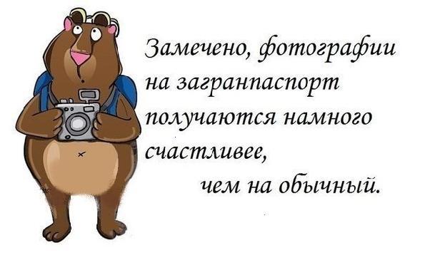 Приколы о туризме в картинках