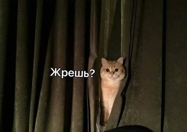 Жрёшь? 🤔