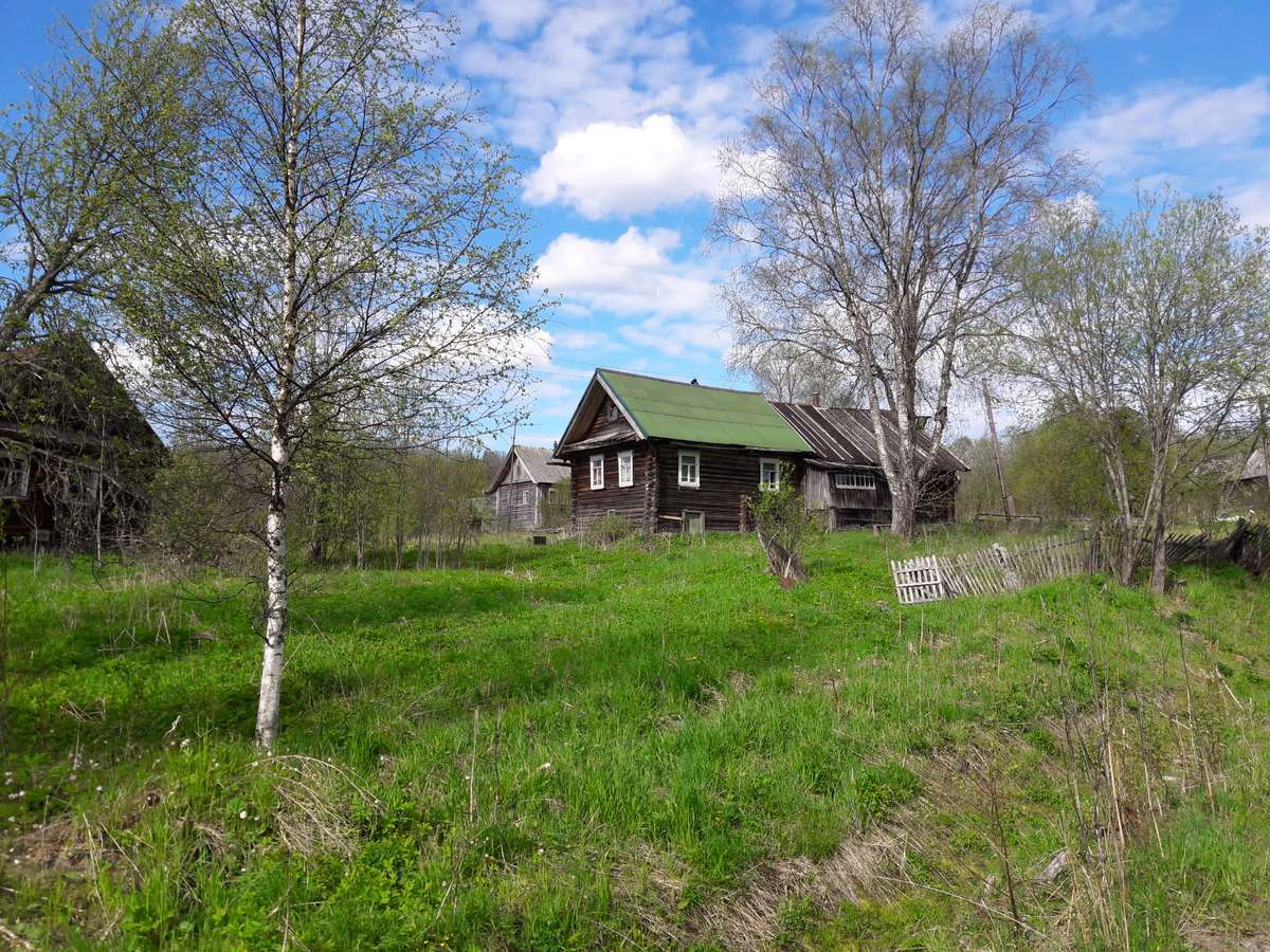 В глуши Вепсских лесов