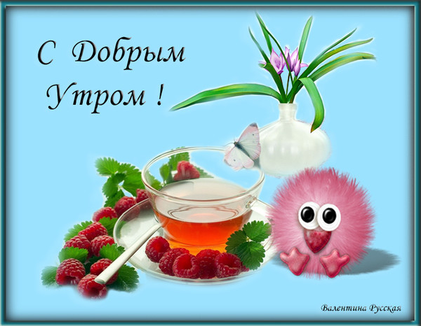 Открытка с пожеланием девушке доброго утра с юмором, февраля яндекс