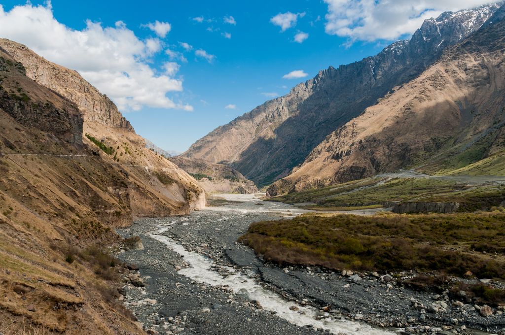 Терек фото животного