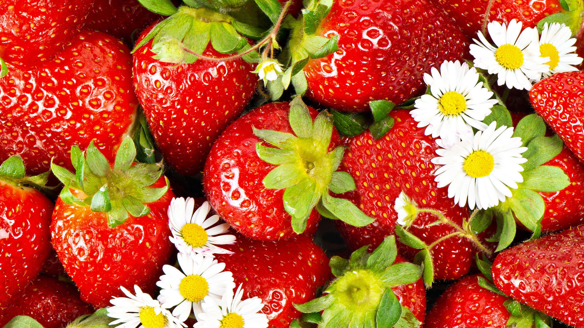 Летние фрукты и ягоды