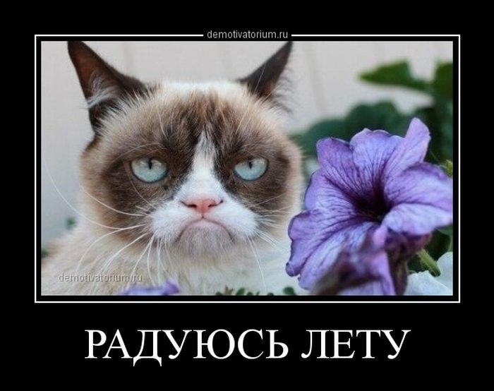 Смешная картинка холодный июнь